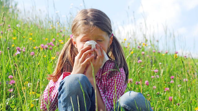 Bild zum Artikel„Unsichtbar und unterschätzt: Allergische Rhinitis im Kindes- und Jugendalter“