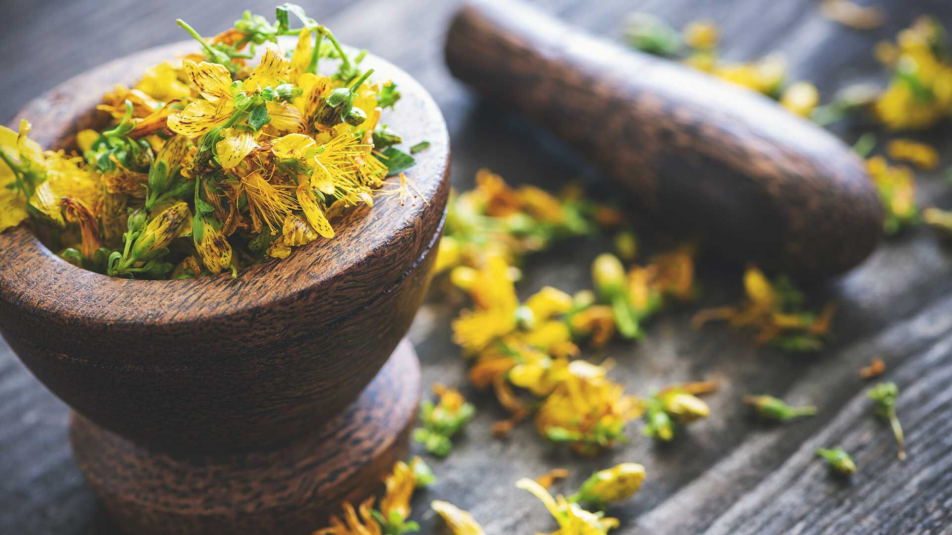 Johanniskraut in einem Mörser aus Holz