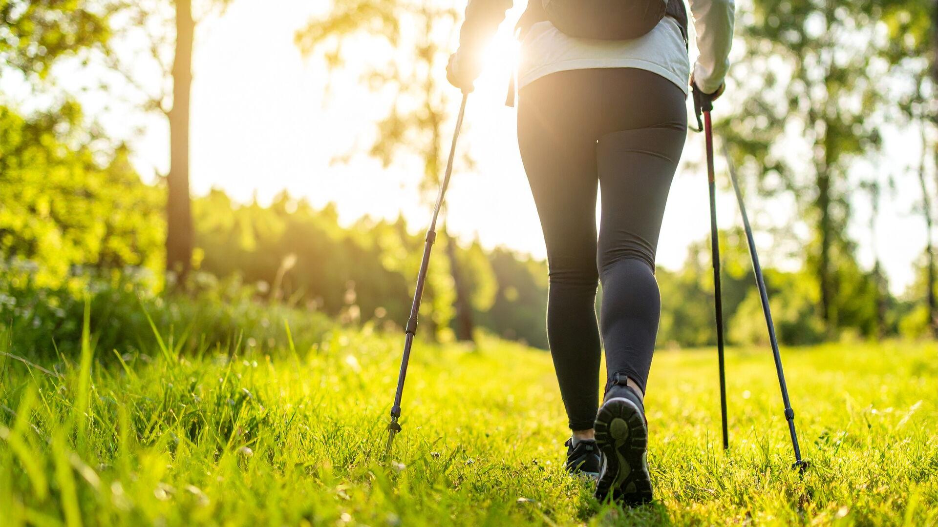 Nordic Walking in der Natur