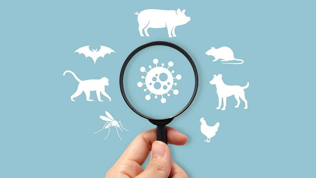 Bild zum Artikel„Infektionskrankheiten: Wie Umwelt und Versorgung Ausbrüche prägen“