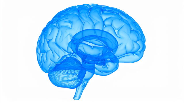Bild zum Artikel„Innovative Technologien und lebenslanges Lernen: Die Zukunft der klinischen Neurowissenschaften“