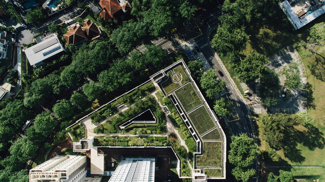Bild zum Artikel„Grüne Oasen gegen die Hitze: Wie Stadtbegrünung Leben retten kann“