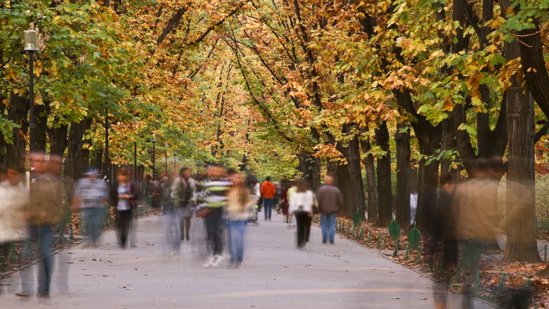 Unscharfes Bild von Menschen, die in einem herbstlichen Park spazieren gehen.