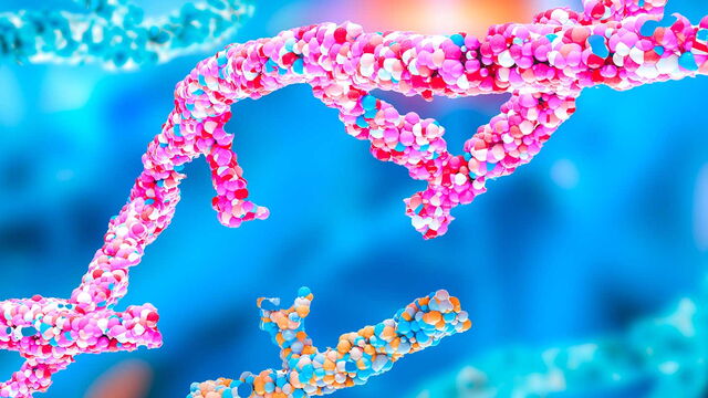 Bild zum Artikel„KI‑basierte Genomeditierung mit neuen CRISPR‑Nukleasen“